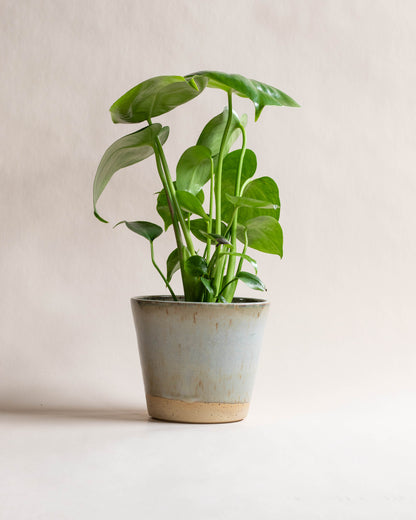 Tapered Planter | Medium