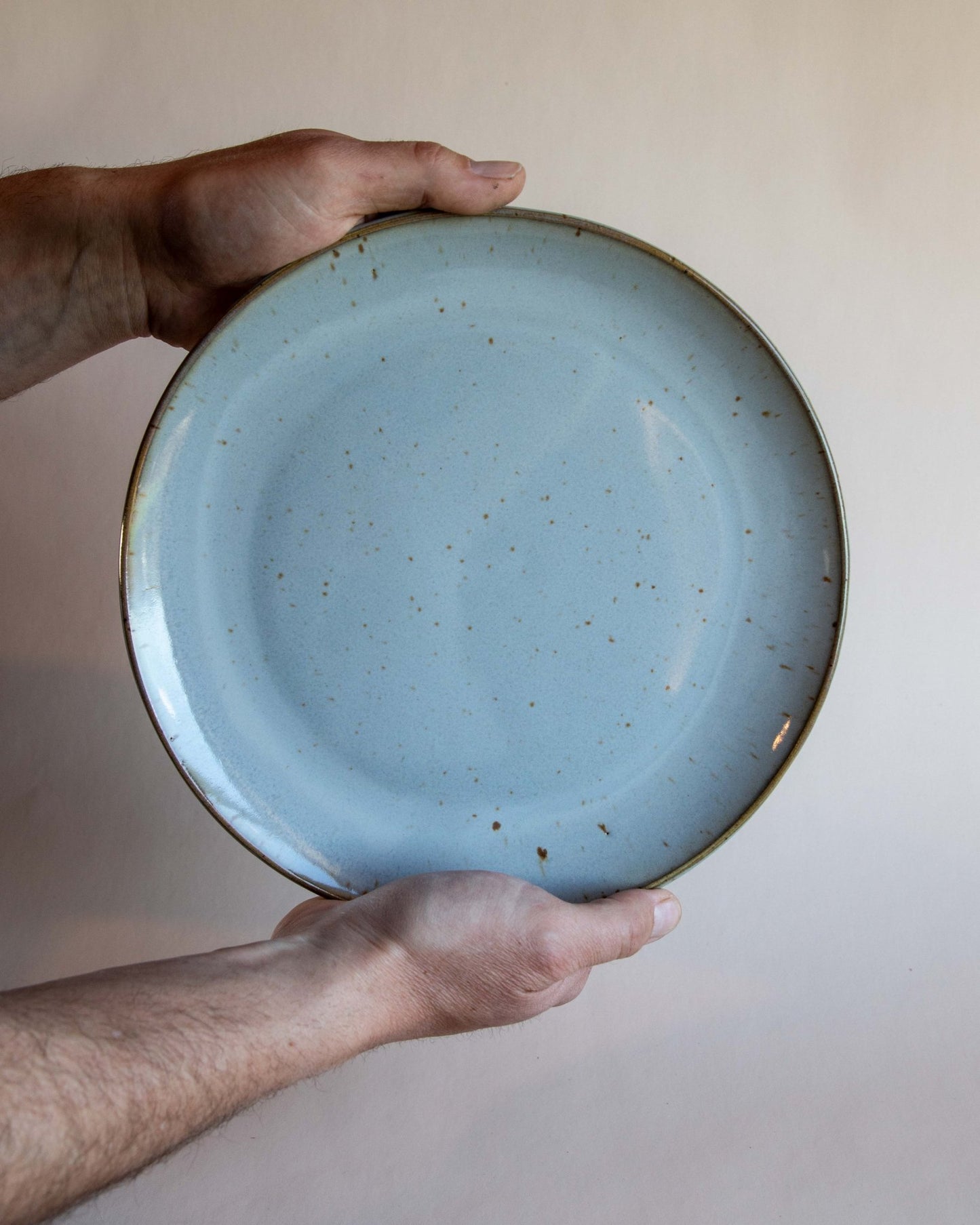 Dinner Plate | In Stock - Deep Woods Pottery