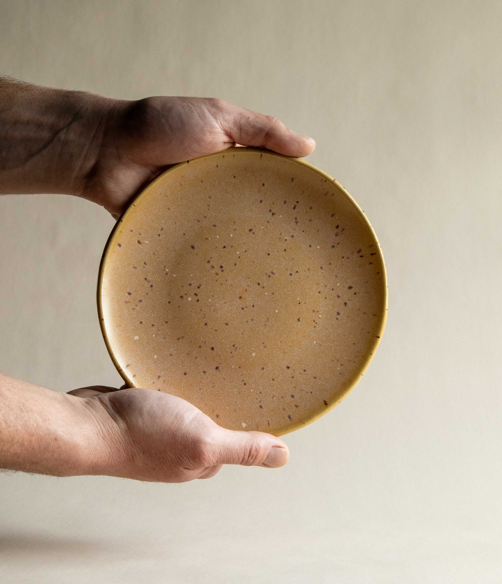 Sidekick Plate | In Stock - Deep Woods Pottery