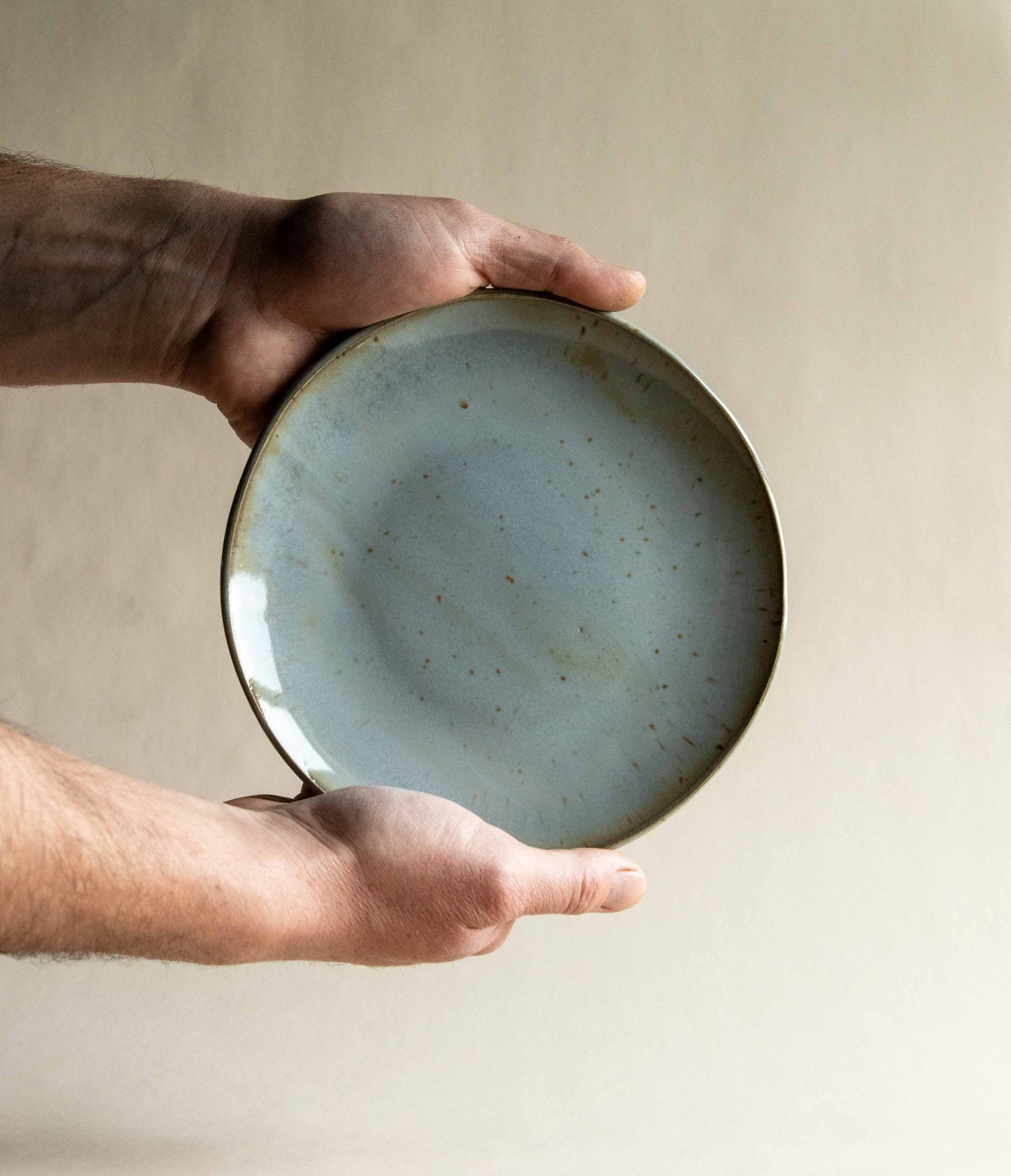 Sidekick Plate | In Stock - Deep Woods Pottery