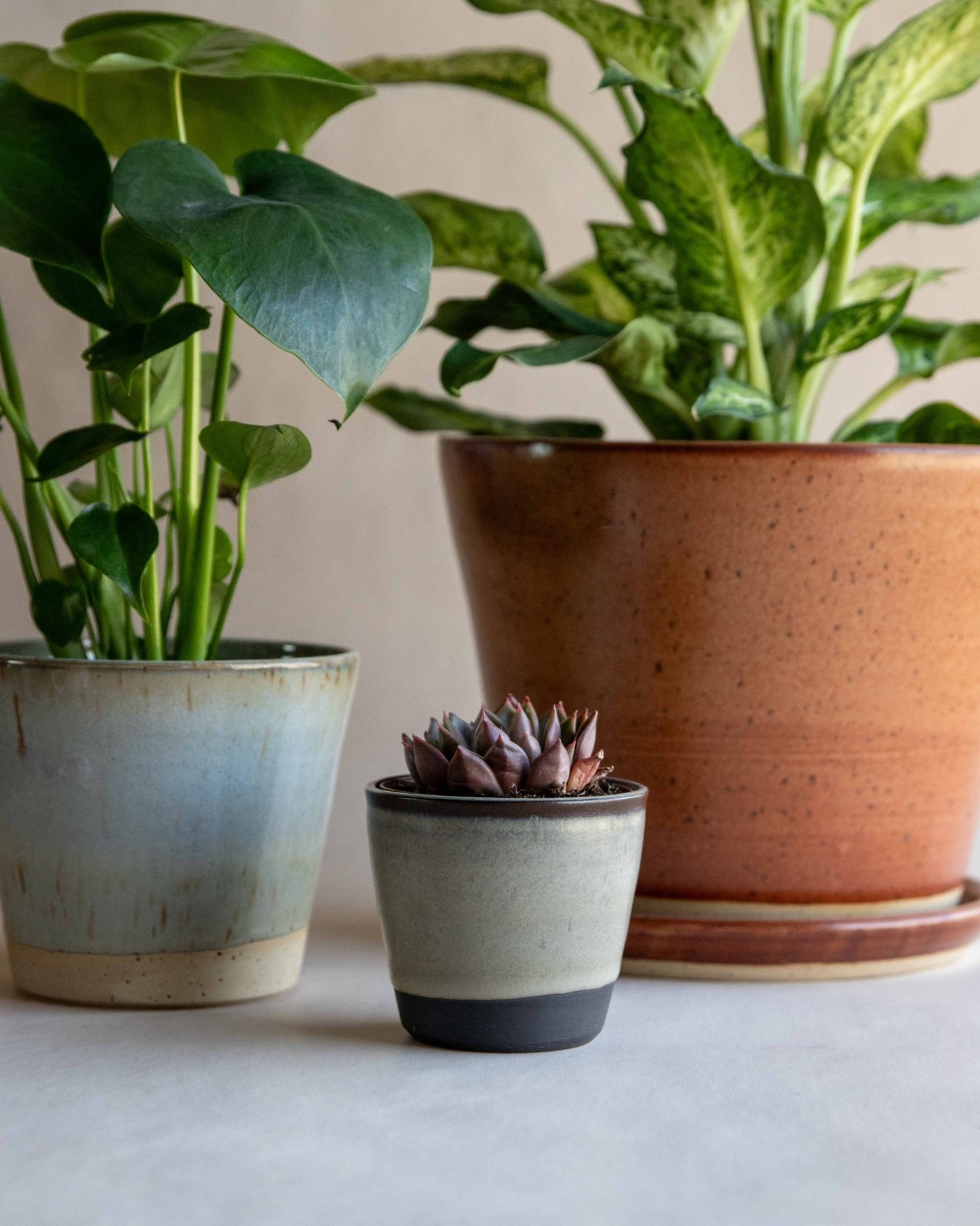 Tapered Planter | Small - Deep Woods Pottery